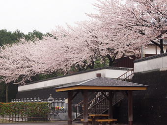 お寺のイメージ